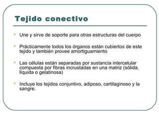 Tejido conectivo
 Une y sirve de soporte para otras estructuras del cuerpo
 Prácticamente todos los órganos están cubiertos de este
tejido y también provee amortiguamiento
 Las células están separadas por sustancia intercelular
compuesta por fibras incrustadas en una matriz (sólida,
líquida o gelatinosa)
 Incluye los tejidos conjuntivo, adiposo, cartilaginoso y la
sangre.
 