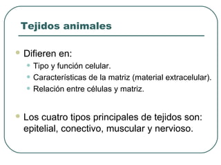Tejidos animales
 Difieren en:
• Tipo y función celular.
• Características de la matriz (material extracelular).
• Relación entre células y matriz.
 Los cuatro tipos principales de tejidos son:
epitelial, conectivo, muscular y nervioso.
 