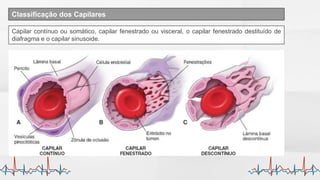 Histologia do Sistevfsvrsvma Circulatório.pdf