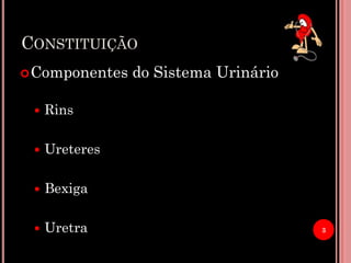 CONSTITUIÇÃO
Componentes do Sistema Urinário
 Rins
 Ureteres
 Bexiga
 Uretra 3
 