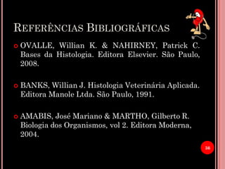 REFERÊNCIAS BIBLIOGRÁFICAS
 OVALLE, Willian K. & NAHIRNEY, Patrick C.
Bases da Histologia. Editora Elsevier. São Paulo,
2008.
 BANKS, Willian J. Histologia Veterinária Aplicada.
Editora Manole Ltda. São Paulo, 1991.
 AMABIS, José Mariano & MARTHO, Gilberto R.
Biologia dos Organismos, vol 2. Editora Moderna,
2004.
36
 
