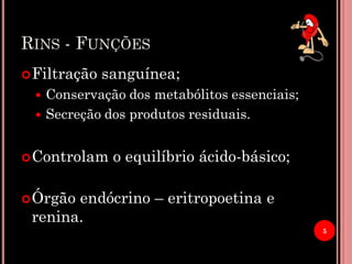 RINS - FUNÇÕES
5
Filtração sanguínea;
 Conservação dos metabólitos essenciais;
 Secreção dos produtos residuais.
Controlam o equilíbrio ácido-básico;
Órgão endócrino – eritropoetina e
renina.
 