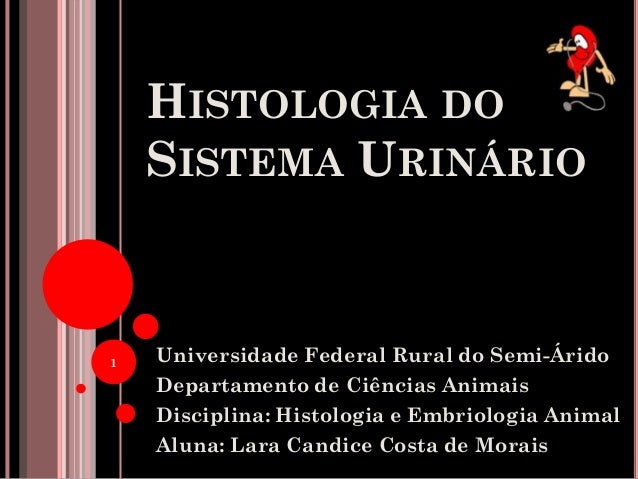 HISTOLOGIA DO
SISTEMA URINÁRIO
Universidade Federal Rural do Semi-Árido
Departamento de Ciências Animais
Disciplina: Histo...