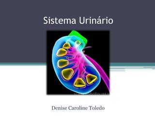 Sistema Urinário




 Denise Caroline Toledo
 