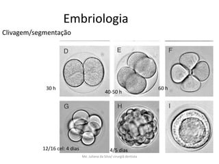 Embriologia
Clivagem/segmentação




            30 h                                                         60 h
                                               40-50 h




           12/16 cel: 4 dias                      4/5 dias
                               Me. Juliana da Silva/ cirurgiã dentista
 