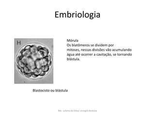 Embriologia

                        Mórula
                        Os blatômeros se dividem por
                        mitoses, nessas divisões vão acumulando
                        água até ocorrer a cavitação, se tornando
                        blástula.




Blastocisto ou blástula




                Me. Juliana da Silva/ cirurgiã dentista
 