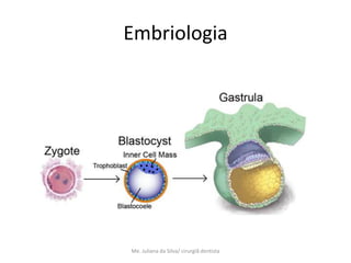 Embriologia




Me. Juliana da Silva/ cirurgiã dentista
 