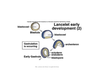 Me. Juliana da Silva/ cirurgiã dentista
 