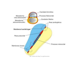 Me. Juliana da Silva/ cirurgiã dentista
 