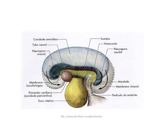 Me. Juliana da Silva/ cirurgiã dentista
 