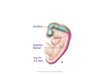 Me. Juliana da Silva/ cirurgiã dentista
 