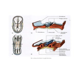 Me. Juliana da Silva/ cirurgiã dentista
 