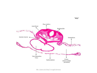 Me. Juliana da Silva/ cirurgiã dentista
 