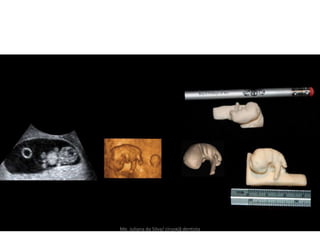 Me. Juliana da Silva/ cirurgiã dentista
 