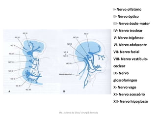 I- Nervo olfatório
                                          II- Nervo óptico
                                          III- Nervo óculo-motor
                                          IV- Nervo troclear
                                          V- Nervo trigêmeo
                                          VI- Nervo abducente
                                          VII- Nervo facial
                                          VIII- Nervo vestíbulo-
                                          coclear
                                          IX- Nervo
                                          glossofaríngeo
                                          X- Nervo vago
                                          XI- Nervo acessório
                                          XII- Nervo hipoglosso

Me. Juliana da Silva/ cirurgiã dentista
 