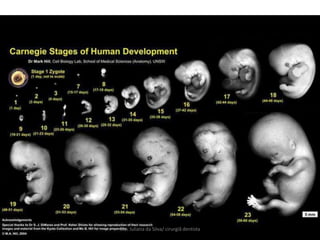 Me. Juliana da Silva/ cirurgiã dentista
 
