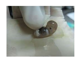 Me. Juliana da Silva/ cirurgiã dentista
 