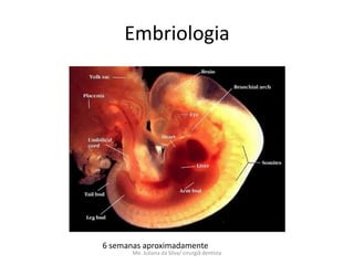 Embriologia




6 semanas aproximadamente
       Me. Juliana da Silva/ cirurgiã dentista
 