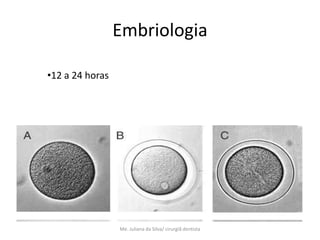 Embriologia

•12 a 24 horas




                 Me. Juliana da Silva/ cirurgiã dentista
 