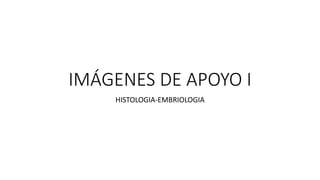 IMÁGENES DE APOYO I
HISTOLOGIA-EMBRIOLOGIA
 