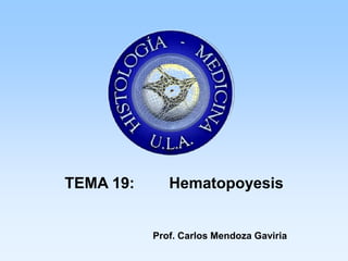 TEMA 19:      Hematopoyesis


           Prof. Carlos Mendoza Gaviria
 