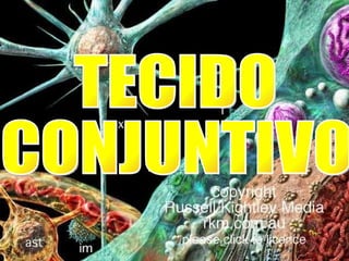 TECIDO CONJUNTIVO 