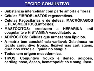 Substância intercelular com parte amorfa e fibras. Células FIBROBLASTOS regenerativas. Células Fagocitárias e de defesa: MACRÓFAGOS E PLASMÓCITOS(Linfócitos). MASTÓCITOS: produzem a HEPARINA anti coagulante e HISTAMINA vasodilatadora. ADIPÓCITOS: Células que armazenam lipídios. A matriz tem consistência variável: Gelatinosa no tecido conjuntivo frouxo, flexível nas cartilagens, dura nos ossos e líquida no sangue. Todos tem origem mesodérmica. TIPOS: Conjuntivo frouxo e denso, adiposo, cartilaginoso, ósseo, hematopoiético e sanguíneo. TECIDO CONJUNTIVO 