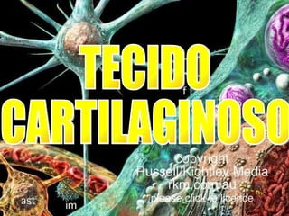 TECIDO  CARTILAGINOSO 