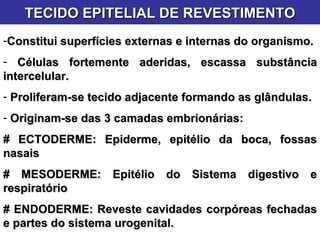 TECIDO EPITELIAL DE REVESTIMENTO Constitui superfícies externas e internas do organismo. Células fortemente aderidas, escassa substância intercelular. Proliferam-se tecido adjacente formando as glândulas. Originam-se das 3 camadas embrionárias:  # ECTODERME: Epiderme, epitélio da boca, fossas nasais # MESODERME: Epitélio do Sistema digestivo e respiratório # ENDODERME: Reveste cavidades corpóreas fechadas e partes do sistema urogenital. 