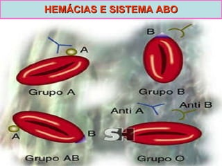 HEMÁCIAS E SISTEMA ABO 