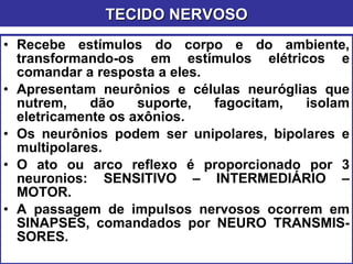 Recebe estímulos do corpo e do ambiente, transformando-os em estímulos elétricos e comandar a resposta a eles. Apresentam neurônios e células neuróglias que nutrem, dão suporte, fagocitam, isolam eletricamente os axônios. Os neurônios podem ser unipolares, bipolares e multipolares. O ato ou arco reflexo é proporcionado por 3 neuronios: SENSITIVO – INTERMEDIÁRIO – MOTOR. A passagem de impulsos nervosos ocorrem em SINAPSES, comandados por NEURO TRANSMIS- SORES. TECIDO NERVOSO 