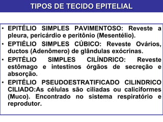 TIPOS DE TECIDO EPITELIAL EPITÉLIO SIMPLES PAVIMENTOSO: Reveste a pleura, pericárdio e peritônio (Mesentélio). EPTIÉLIO SIMPLES CÚBICO: Reveste Ovários, ductos (Adenômero) de glândulas exócrinas. EPITÉLIO SIMPLES CILÍNDRICO: Reveste estômago e intestinos órgãos de secreção e absorção. EPITÉLIO PSEUDOESTRATIFICADO CILINDRICO CILIADO:As células são ciliadas ou caliciformes (Muco). Encontrado no sistema respiratório e reprodutor. 