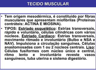 Tem origem mesodérmica, é constituído por fibras musculares que apresentam miofibrilas (Proteínas contráteis: ACTINA E MIOSINA). TIPOS:  Estriado esquelético : Estrias transversais, rápido e voluntário, células cilíndricas com vários núcleos.  Estriado Cardíaco : Estrias transversais, movimento ritmado e involuntário (Bulbo e NSA e NAV). Impulsiona a circulação sanguínea, Células anastomosadas com 1 ou 2 núcleos centrais.  Liso : Células fusiformes com núcleo único e central, ritmo lento e involuntário reveste vasos sanguíneos, tuba uterina e sistema digestório. TECIDO MUSCULAR 