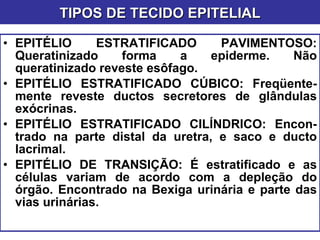 EPITÉLIO ESTRATIFICADO PAVIMENTOSO: Queratinizado forma a epiderme. Não queratinizado reveste esôfago. EPITÉLIO ESTRATIFICADO CÚBICO: Freqüente- mente reveste ductos secretores de glândulas exócrinas. EPITÉLIO ESTRATIFICADO CILÍNDRICO: Encon- trado na parte distal da uretra, e saco e ducto lacrimal. EPITÉLIO DE TRANSIÇÃO: É estratificado e as células variam de acordo com a depleção do órgão. Encontrado na Bexiga urinária e parte das vias urinárias. TIPOS DE TECIDO EPITELIAL 