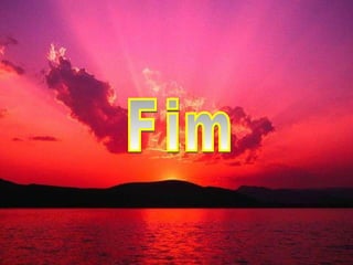 Fim 