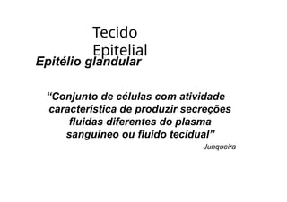 Tecido
Epitelial
Epitélio glandular
“Conjunto de células com atividade
característica de produzir secreções
fluidas diferentes do plasma
sanguíneo ou fluido tecidual”
Junqueira
 