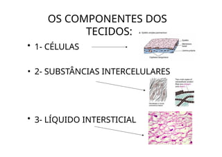 OS COMPONENTES DOS
TECIDOS:
• 1- CÉLULAS
• 2- SUBSTÂNCIAS INTERCELULARES
• 3- LÍQUIDO INTERSTICIAL
 