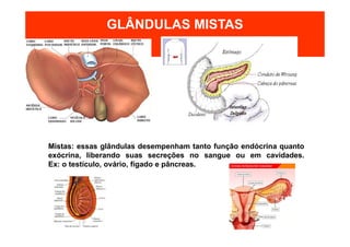 GLÂNDULAS MISTAS
Mistas: essas glândulas desempenham tanto função endócrina quanto
exócrina, liberando suas secreções no sangue ou em cavidades.
Ex: o testículo, ovário, fígado e pâncreas.
 