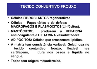 • Substância intercelular com parte amorfa e fibras.
• Células FIBROBLASTOS regenerativas.
• Células Fagocitárias e de defesa:
MACRÓFAGOS E PLASMÓCITOS(Linfócitos).
• MASTÓCITOS: produzem a HEPARINA
anti coagulante e HISTAMINA vasodilatadora.
• ADIPÓCITOS: Células que armazenam lipídios.
• A matriz tem consistência variável: Gelatinosa no
tecido conjuntivo frouxo, flexível nas
cartilagens, dura nos ossos e líquida no
sangue.
• Todos tem origem mesodérmica.
TECIDO CONJUNTIVO FROUXO
 