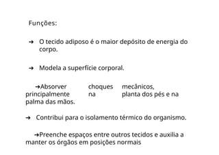 Funções:
➔ O tecido adiposo é o maior depósito de energia do
corpo.
➔ Modela a superfície corporal.
➔Absorver choques mecânicos,
principalmente na planta dos pés e na
palma das mãos.
➔ Contribui para o isolamento térmico do organismo.
➔Preenche espaços entre outros tecidos e auxilia a
manter os órgãos em posições normais
 