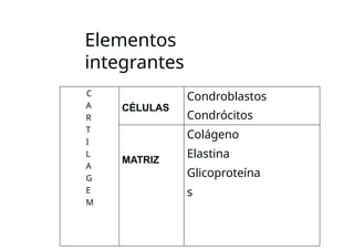 Elementos
integrantes
C
A
R
T
I
L
A
G
E
M
CÉLULAS
Condroblastos
Condrócitos
MATRIZ
Colágeno
Elastina
Glicoproteína
s
 