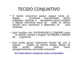 TECIDO CONJUNTIVO
• O tecido conjuntivo possui espaço entre as
células, ricamente vascularizado, (fibras
colágenas, elásticas e reticulares), possui também
o líquido intersticial (local de onde as células
retiram seus nutrientes e depositam os seus
resíduos).
• Suas funções são: SUSTENTAÇÃO E CONEXÃO entre
os demais tecidos e órgãos, NUTRIÇÃO e DEFESA
do organismo.
• Este tecido possui importante função de: unir e
separar órgãos ao mesmo tempo. Abaixo de
todo tecido epitelial, deve haver,
obrigatoriamente, um tecido conjuntivo.
EX: Tecidos Adiposo, cartilaginoso, ósseo e hematopoiético
 