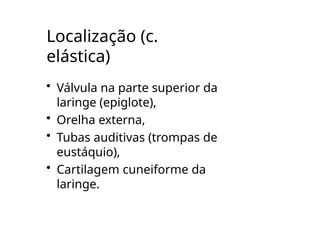 Localização (c.
elástica)
• Válvula na parte superior da
laringe (epiglote),
• Orelha externa,
• Tubas auditivas (trompas de
eustáquio),
• Cartilagem cuneiforme da
laringe.
 