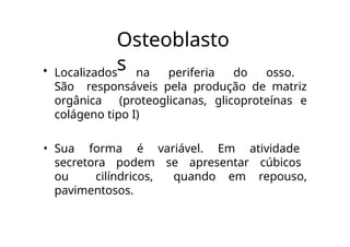 Osteoblasto
s
• Localizados na periferia do osso.
São responsáveis pela produção de matriz
orgânica (proteoglicanas, glicoproteínas e
colágeno tipo I)
• Sua forma é variável. Em atividade
secretora podem se apresentar cúbicos
ou cilíndricos, quando em repouso,
pavimentosos.
 