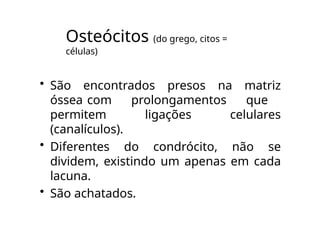 Osteócitos (do grego, citos =
células)
• São encontrados presos na matriz
óssea com prolongamentos que
permitem ligações celulares
(canalículos).
• Diferentes do condrócito, não se
dividem, existindo um apenas em cada
lacuna.
• São achatados.
 