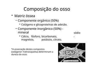 Composição do osso
• Matriz óssea
– Componente orgânico (50%)
• Colágeno e glicoproteínas de adesão.
– Componente inorgânico (50%) -
mineral
• Cálcio, fósforo, bicarbonato,
magnésio, potássio, citrato.
sódio
,
*A associação destes compostos
(colágeno+ hidroxiapatita) determinam a
dureza do osso.
 
