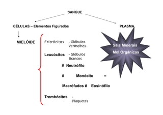 SANGUE
CÉLULAS – Elementos Figurados PLASMA
MIELÓIDE Eritrócitos - Glóbulos
Vermelhos
# Neutrófilo
# Monócito =
Macrófados # Eosinófilo
Leucócitos - Glóbulos
Brancos
Trombócitos -
Plaquetas
Sais Minerais
Mol.Orgânicas
 