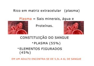 Rico em matriz extracelular (plasma)
Plasma = Sais minerais, água e
Proteínas.
CONSTITUIÇÃO DO SANGUE
• PLASMA (55%)
• ELEMENTOS FIGURADOS
(45%)
EM UM ADULTO ENCONTRA-SE DE 5,5L A 6L DE SANGUE
 