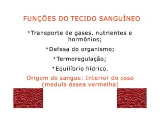 FUNÇÕES DO TECIDO SANGUÍNEO
• Transporte de gases, nutrientes e
hormônios;
• Defesa do organismo;
• Termoregulação;
• Equilíbrio hídrico.
Origem do sangue: Interior do osso
(medula óssea vermelha)
 