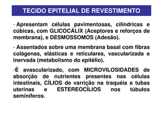 TECIDO EPITELIAL DE REVESTIMENTO

- Apresentam células pavimentosas, cilíndricas e
cúbicas, com GLICOCÁLIX (Aceptores e reforços de
membrana), e DESMOSSOMOS (Adesão).
- Assentados sobre uma membrana basal com fibras
colágenas, elásticas e reticulares, vascularizada e
inervada (metabolismo do epitélio).
-É avascularizado, com MICROVILOSIDADES de
absorção de nutrientes presentes nas células
intestinais, CÍLIOS de varrição na traquéia e tubas
uterinas     e    ESTEREOCÍLIOS      nos    túbulos
seminíferos.
 